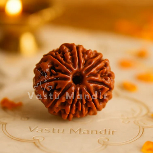 9 Mukhi rudraksha bead on a white plate with 'Vastu Mandir' branding, surrounded by orange flowers.