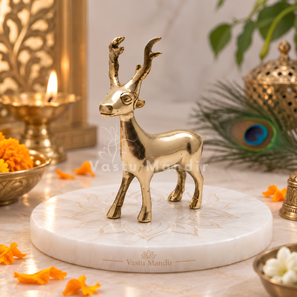 Brass Deer Idol Vastu Remedy for Peace, Growth and Gentle Prosperity for Home, Office and Decorative Placement | 8.5 x 2 x 11 cm | 240 Gm