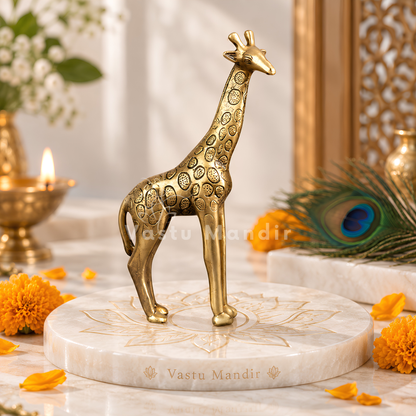 Brass Giraffe Idol Vastu Remedy for Growth, Vision and Long Term Progress for Home and Office | 8 x 23 cm | 950 gm