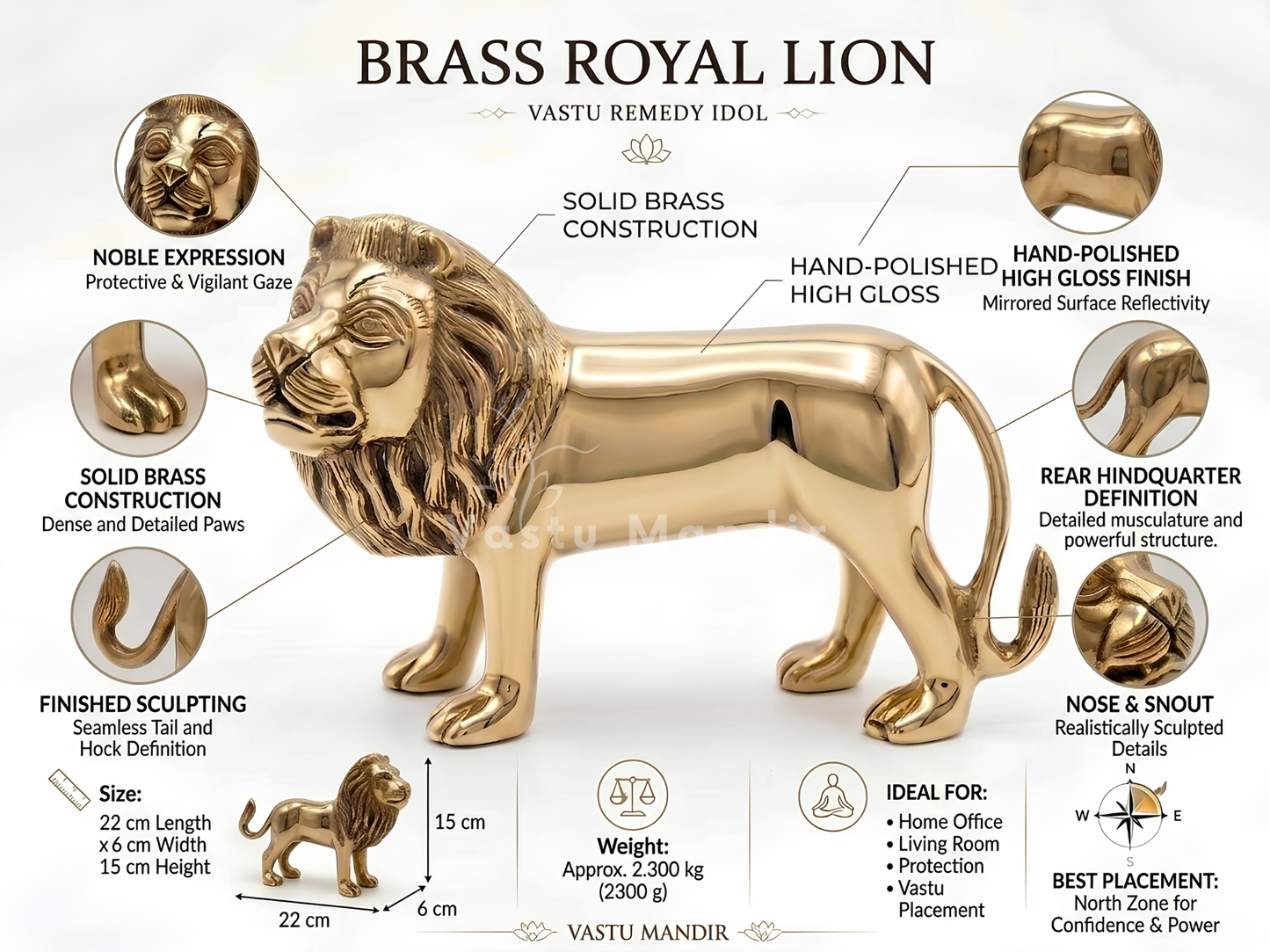 Brass Lion Idol Statue for Home, Office, Vastu Remedy & Decorative Showpiece | 22 × 15 cm | 2.300 kg