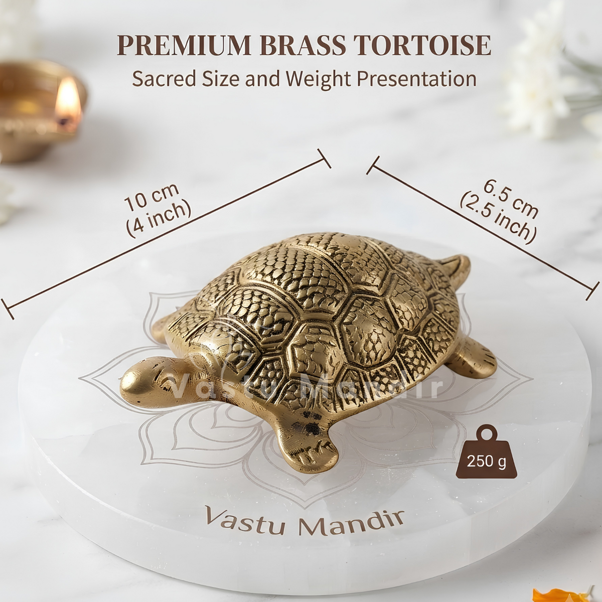 Brass Tortoise Idol Vastu Remedy for Wealth, Health and Longevity for Home, Office and North Direction Placement | 10 cm x 6.5 cm | 250 gm 