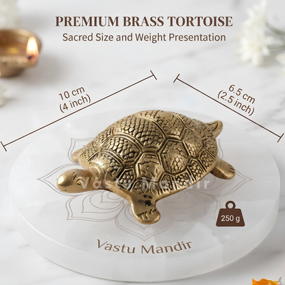 Brass Tortoise Idol Vastu Remedy for Wealth, Health and Longevity for Home, Office and North Direction Placement | 10 cm x 6.5 cm | 250 gm 