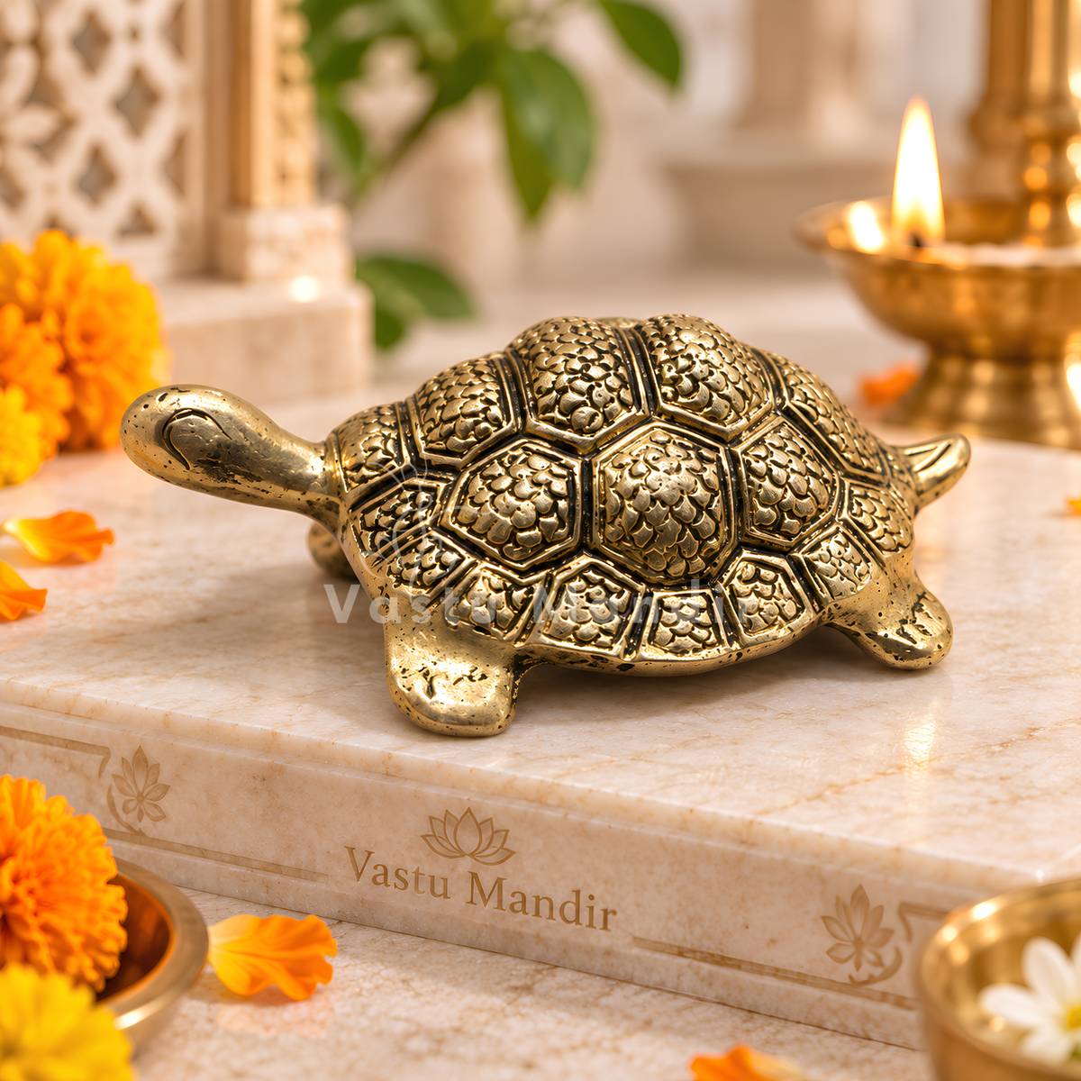 Brass Tortoise Idol Vastu Remedy for Wealth, Health and Longevity for Home, Office and North Direction Placement | 10 cm x 6.5 cm | 250 gm 