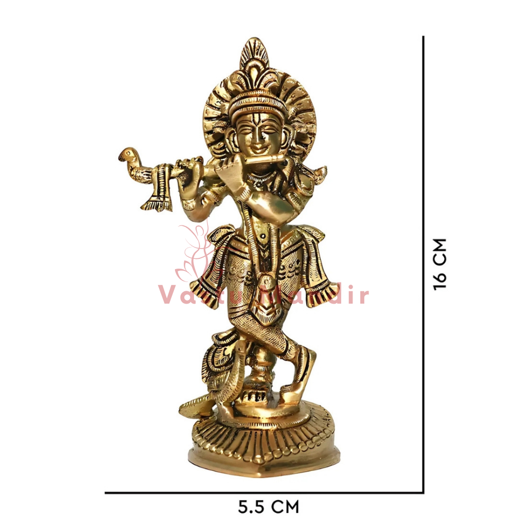 Brass Krishna Ji idol dimension diagram showing 16 cm height and 5.5 cm width