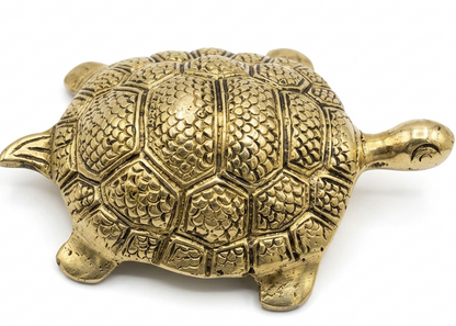 Brass Tortoise/turtle figurine on a white background