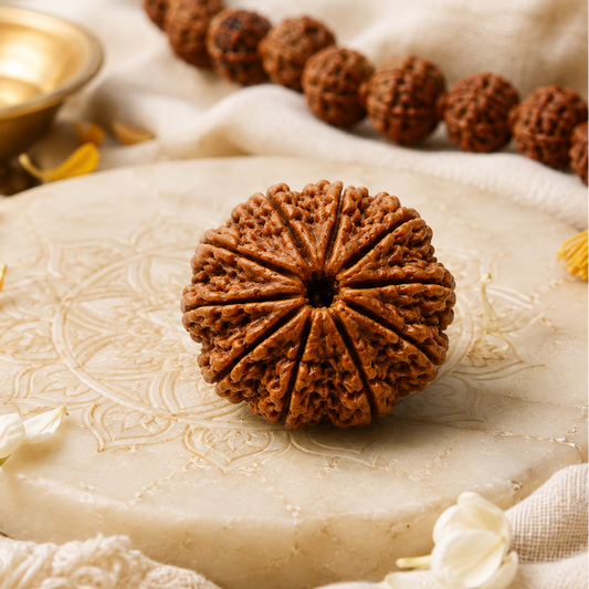 Lab Certified 10 Mukhi Rudraksha – Vastu Remedy for Evil Eye Protection & Peace | Ideal for Main Door & Vishnu Altars