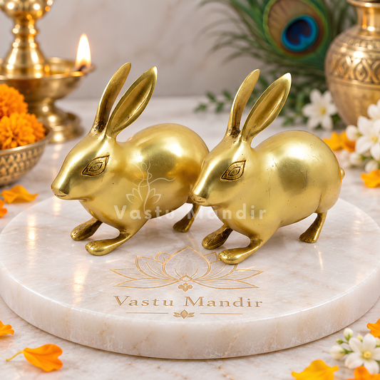 Golden Rabbit Brass Idol – Auspicious Vastu Remedy for Wealth Attraction & Prosperity | Ideal for North Direction, Office Desk & Home Entrance | 13 x 4.5 x 11.5 cm | 670 g
