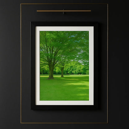 Framed photograph of a green landscape with trees and grass.