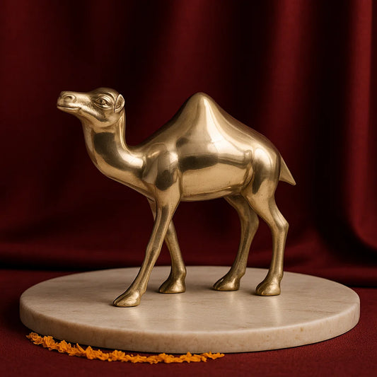 Plain Finish Camel 100% Pure Brass Statue Idol Decorative Showpiece for Home, Office and Gifting by Vastu Mandir