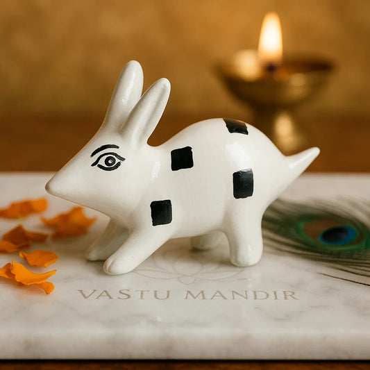Pair of Rabbit's 100% Pure Brass Statue Idol Decorative Showpiece for Home, Office and Gifting by Vastu Mandir