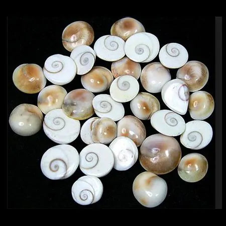 GOMATI CHAKRA (1 kg)