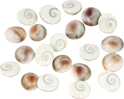 GOMATI CHAKRA (1 kg)