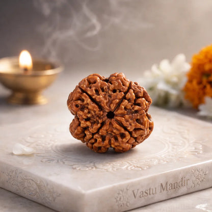 Lab Tested 4 Mukhi Rudraksha – Vastu Remedy for Knowledge, Creativity & Memory Power | Ideal for North-East Study Rooms