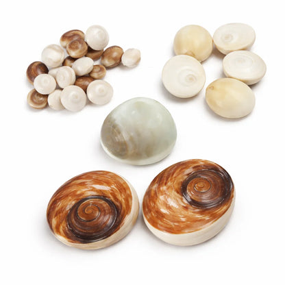Gomti Chakra Shells – Vastu Remedy for Wealth Attraction & Naag Dosh Relief | Ideal for Wallets & Altars | Small, Medium & Raja Sizes