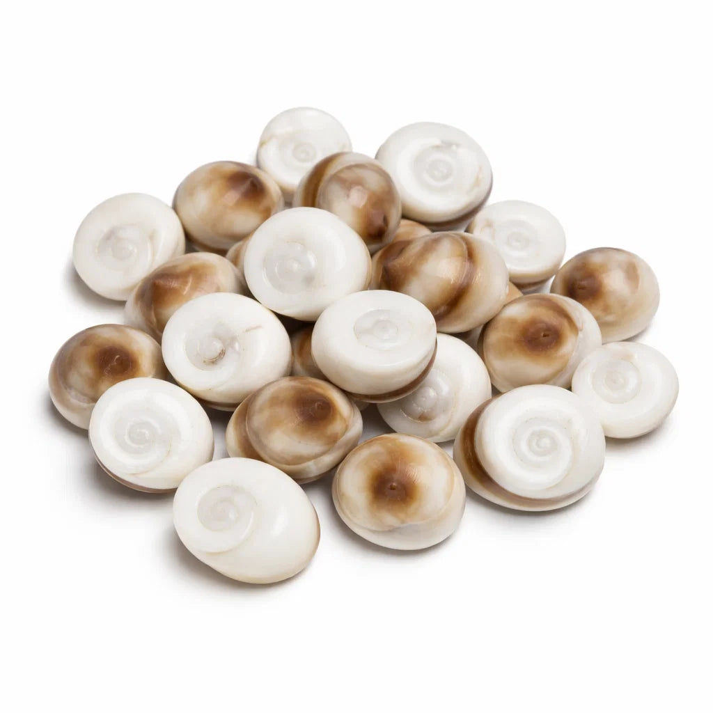Gomti Chakra Shells – Vastu Remedy for Wealth Attraction & Naag Dosh Relief | Ideal for Wallets & Altars | Small, Medium & Raja Sizes