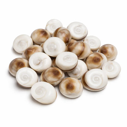 Gomti Chakra Shells – Vastu Remedy for Wealth Attraction & Naag Dosh Relief | Ideal for Wallets & Altars | Small, Medium & Raja Sizes
