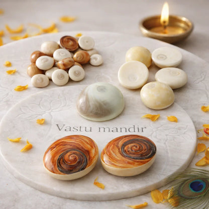Gomti Chakra Shells – Vastu Remedy for Wealth Attraction & Naag Dosh Relief | Ideal for Wallets & Altars | Small, Medium & Raja Sizes
