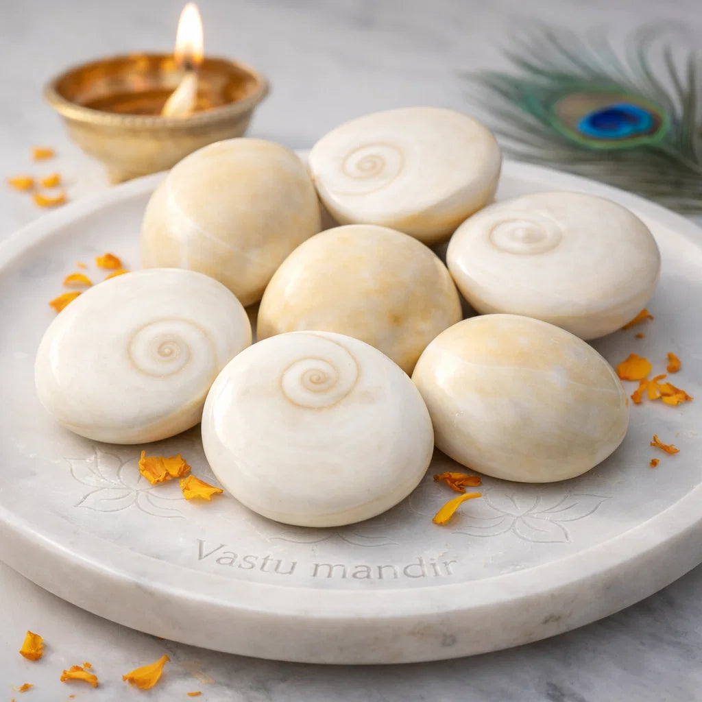 Gomti Chakra Shells – Vastu Remedy for Wealth Attraction & Naag Dosh Relief | Ideal for Wallets & Altars | Small, Medium & Raja Sizes