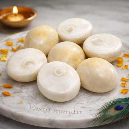 Gomti Chakra Shells – Vastu Remedy for Wealth Attraction & Naag Dosh Relief | Ideal for Wallets & Altars | Small, Medium & Raja Sizes