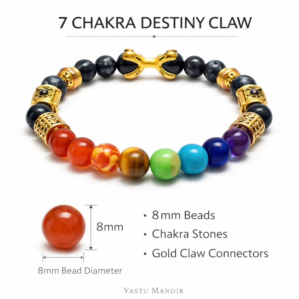 Premium Natural 7 Chakra Destiny Claw 8mm Bracelet for Vastu Remedy, Manifestation, Courage & Energy Alignment