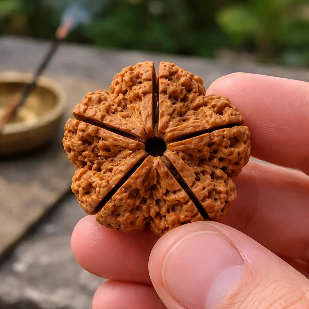 5 Mukhi Rudraksha – Natural Five Face Rudraksha Bead for Health, Peace & Spiritual Growth by Vastu Mandir
