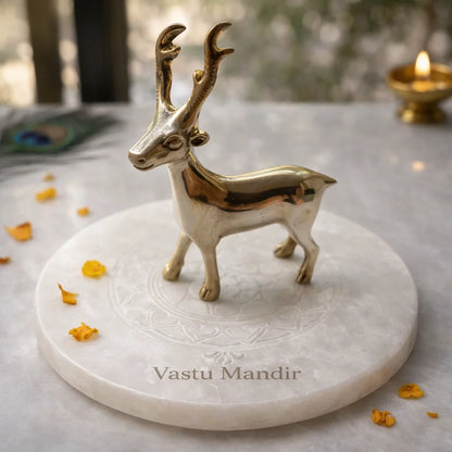 Brass Deer Idol Vastu Remedy for Peace, Growth and Gentle Prosperity for Home, Office and Decorative Placement | 8.5 x 2 x 11 cm | 240 Gm
