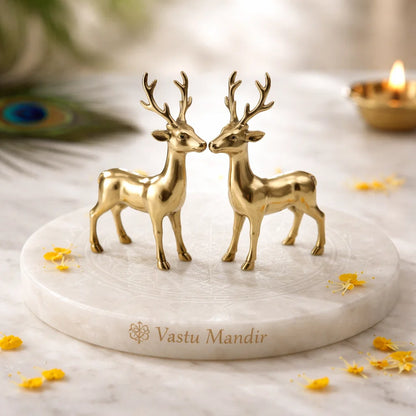 Brass Deer Idol Vastu Remedy for Peace, Growth and Gentle Prosperity for Home, Office and Decorative Placement | 8.5 x 2 x 11 cm | 240 Gm