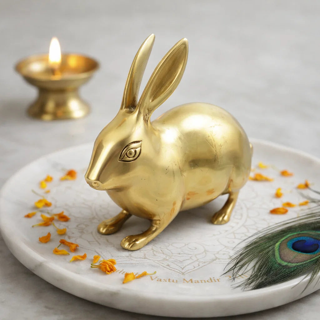 Pair of Golden Rabbits Pair, 100% Pure Brass Statue Idol Decorative Showpiece for Home, Office and Gifting by Vastu Mandir
