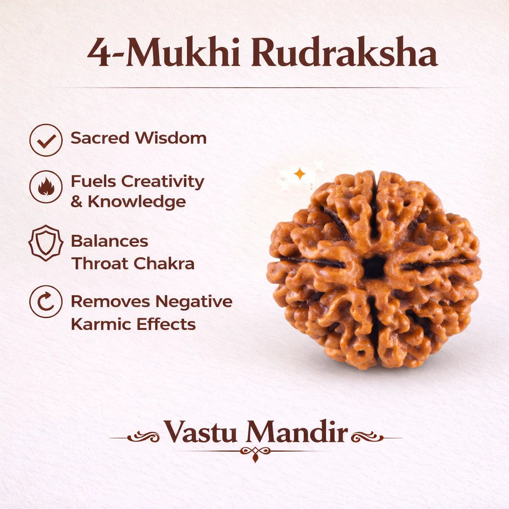 Lab Tested 4 Mukhi Rudraksha – Vastu Remedy for Knowledge, Creativity & Memory Power | Ideal for North-East Study Rooms