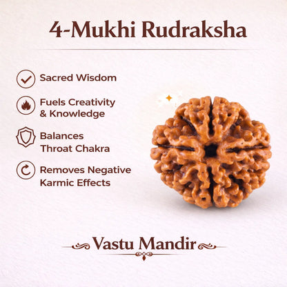 Lab Tested 4 Mukhi Rudraksha – Vastu Remedy for Knowledge, Creativity & Memory Power | Ideal for North-East Study Rooms